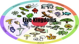 Five Kingdoms
By Aaliyah and Hailey
 