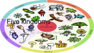 Five kingdoms
By: Joey and Hunter
 