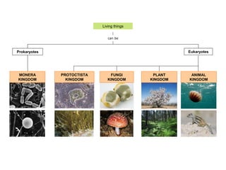 can be
Living things
MONERA
KINGDOM
EukaryotesProkaryotes
PROTOCTISTA
KINGDOM
FUNGI
KINGDOM
PLANT
KINGDOM
ANIMAL
KINGDOM
 