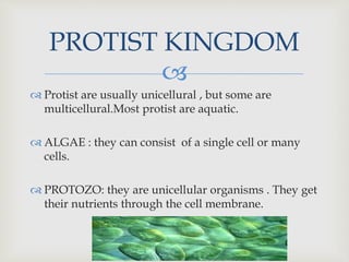 
Protist are usually unicellural , but some are
multicellural.Most protist are aquatic.
ALGAE : they can consist of a single cell or many
cells.
PROTOZO: they are unicellular organisms . They get
their nutrients through the cell membrane.
PROTIST KINGDOM