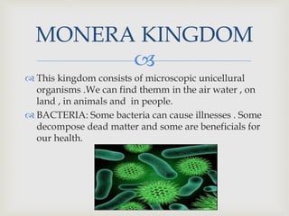 
This kingdom consists of microscopic unicellural
organisms .We can find themm in the air water , on
land , in animals and in people.
BACTERIA: Some bacteria can cause illnesses . Some
decompose dead matter and some are beneficials for
our health.
MONERA KINGDOM