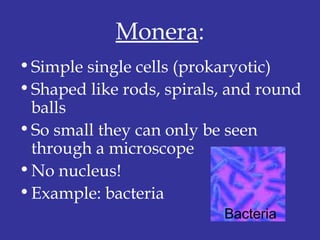 Monera:
•Simple single cells (prokaryotic)
•Shaped like rods, spirals, and round
balls
•So small they can only be seen
through a microscope
•No nucleus!
•Example: bacteria
Bacteria
 