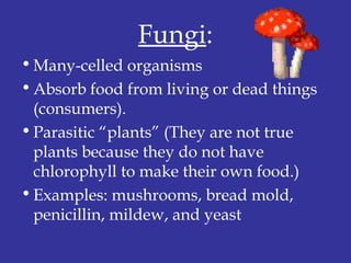 Fungi:
•Many-celled organisms
•Absorb food from living or dead things
(consumers).
•Parasitic “plants” (They are not true
plants because they do not have
chlorophyll to make their own food.)
•Examples: mushrooms, bread mold,
penicillin, mildew, and yeast
 