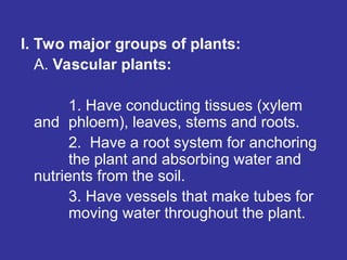 I. Two major groups of plants:
A. Vascular plants:
1. Have conducting tissues (xylem
and phloem), leaves, stems and roots.
2. Have a root system for anchoring
the plant and absorbing water and
nutrients from the soil.
3. Have vessels that make tubes for
moving water throughout the plant.
 