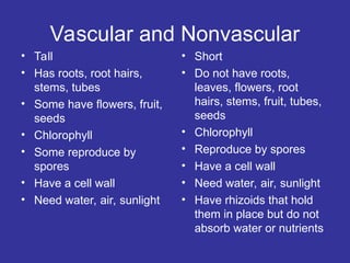Vascular and Nonvascular
• Tall
• Has roots, root hairs,
stems, tubes
• Some have flowers, fruit,
seeds
• Chlorophyll
• Some reproduce by
spores
• Have a cell wall
• Need water, air, sunlight
• Short
• Do not have roots,
leaves, flowers, root
hairs, stems, fruit, tubes,
seeds
• Chlorophyll
• Reproduce by spores
• Have a cell wall
• Need water, air, sunlight
• Have rhizoids that hold
them in place but do not
absorb water or nutrients
 