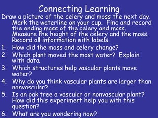 Connecting Learning
Draw a picture of the celery and moss the next day.
Mark the waterline on your cup. Find and record
the ending mass of the celery and moss.
Measure the height of the celery and the moss.
Record all information with labels.
1. How did the moss and celery change?
2. Which plant moved the most water? Explain
with data.
3. Which structures help vascular plants move
water?
4. Why do you think vascular plants are larger than
nonvascular?
5. Is an oak tree a vascular or nonvascular plant?
How did this experiment help you with this
question?
6. What are you wondering now?
 