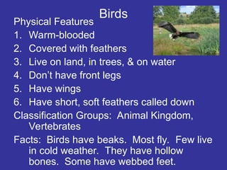 Birds
Physical Features
1. Warm-blooded
2. Covered with feathers
3. Live on land, in trees, & on water
4. Don’t have front legs
5. Have wings
6. Have short, soft feathers called down
Classification Groups: Animal Kingdom,
Vertebrates
Facts: Birds have beaks. Most fly. Few live
in cold weather. They have hollow
bones. Some have webbed feet.
 
