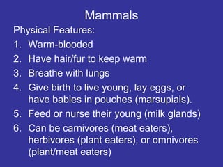 Mammals
Physical Features:
1. Warm-blooded
2. Have hair/fur to keep warm
3. Breathe with lungs
4. Give birth to live young, lay eggs, or
have babies in pouches (marsupials).
5. Feed or nurse their young (milk glands)
6. Can be carnivores (meat eaters),
herbivores (plant eaters), or omnivores
(plant/meat eaters)
 