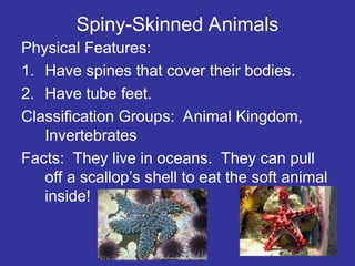 Spiny-Skinned Animals
Physical Features:
1. Have spines that cover their bodies.
2. Have tube feet.
Classification Groups: Animal Kingdom,
Invertebrates
Facts: They live in oceans. They can pull
off a scallop’s shell to eat the soft animal
inside!
 