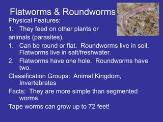 Flatworms & Roundworms
Physical Features:
1. They feed on other plants or
animals (parasites).
1. Can be round or flat. Roundworms live in soil.
Flatworms live in salt/freshwater.
2. Flatworms have one hole. Roundworms have
two.
Classification Groups: Animal Kingdom,
Invertebrates
Facts: They are more simple than segmented
worms.
Tape worms can grow up to 72 feet!
 