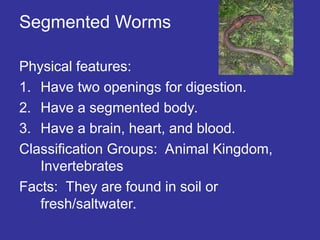 Segmented Worms
Physical features:
1. Have two openings for digestion.
2. Have a segmented body.
3. Have a brain, heart, and blood.
Classification Groups: Animal Kingdom,
Invertebrates
Facts: They are found in soil or
fresh/saltwater.
 