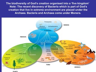 The biodiversity of God’s creation organised into a ‘five kingdom’
Note: The recent discovery of Bacteria which is part of God's
creation that live in extreme environment are placed under the
Archaea. Bacteria and Archaea come under Monera.
 