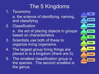 The 5 Kingdoms
1. Taxonomy
a. the science of identifying, naming,
and classifying
2. Classification
a. the act of placing objects in groups
based on characteristics
3. Scientists use both of these to
organize living organisms.
4. The largest group living things are
placed in is a kingdom (there are 5).
5. The smallest classification group is
the species. The second smallest is
the genus.
 