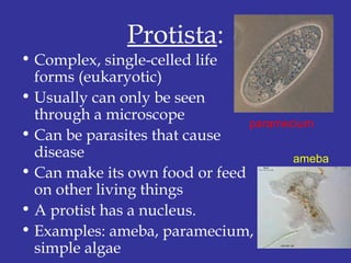 Protista:
• Complex, single-celled life
forms (eukaryotic)
• Usually can only be seen
through a microscope
• Can be parasites that cause
disease
• Can make its own food or feed
on other living things
• A protist has a nucleus.
• Examples: ameba, paramecium,
simple algae
paramecium
ameba
 