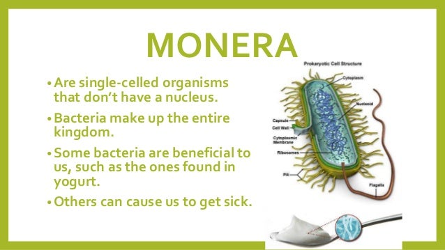 6 Kingdoms Of Life Slideshare 6 Kingdoms Of Life Slideshare