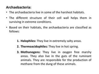 Archaebacteria:
• The archaebacteria live in some of the harshest habitats.
• The different structure of their cell wall helps them in
surviving in extreme conditions.
• Based on their habitats, the archaebacteria are classified as
follows:
1. Halophiles: They live in extremely salty areas.
2. Thermoacidophiles: They live in hot spring.
3. Methanogens: They live in oxygen free marshy
areas. They also live in the guts of the ruminant
animals. They are responsible for the production of
methane from the dung of these animals.
 