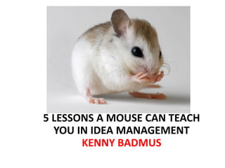 5 LESSONS A MOUSE CAN TEACH YOU IN IDEA MANAGEMENT KENNY BADMUS  
