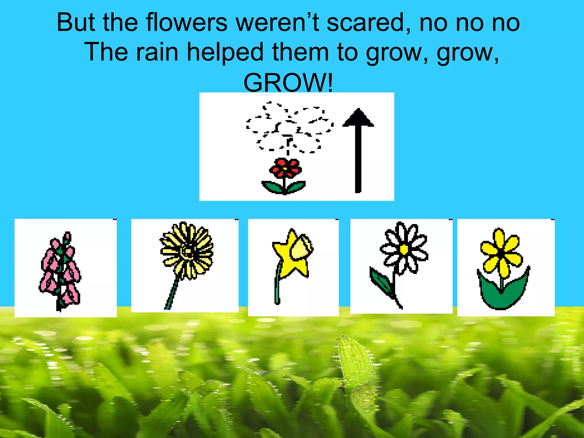 But the flowers weren’t scared, no no no The rain helped them to grow, grow, GROW!