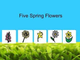 Five Spring Flowers 