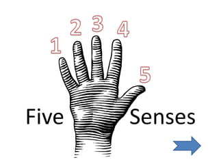 3 2 4 1 5 Five            Senses 