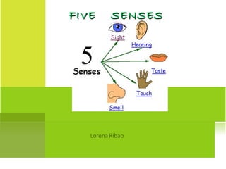 FIVE   SENSES
 