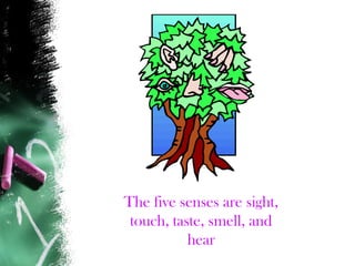 The five senses are sight,
touch, taste, smell, and
hear
 