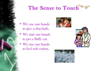 The Sense to Touch
• We use our hands
to give a dog bath.
• We use our hands
to pet a fluffy cat.
• We use our hands
to feel soft cotton.
 