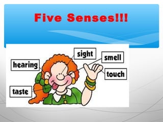 Five Senses!!!
 