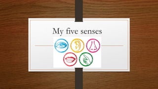 My five senses
 