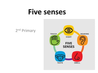 Five senses
2nd Primary
 
