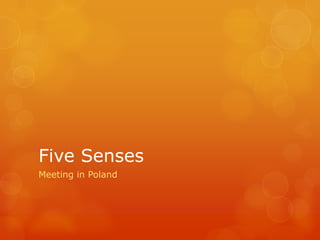 Five Senses
Meeting in Poland

 