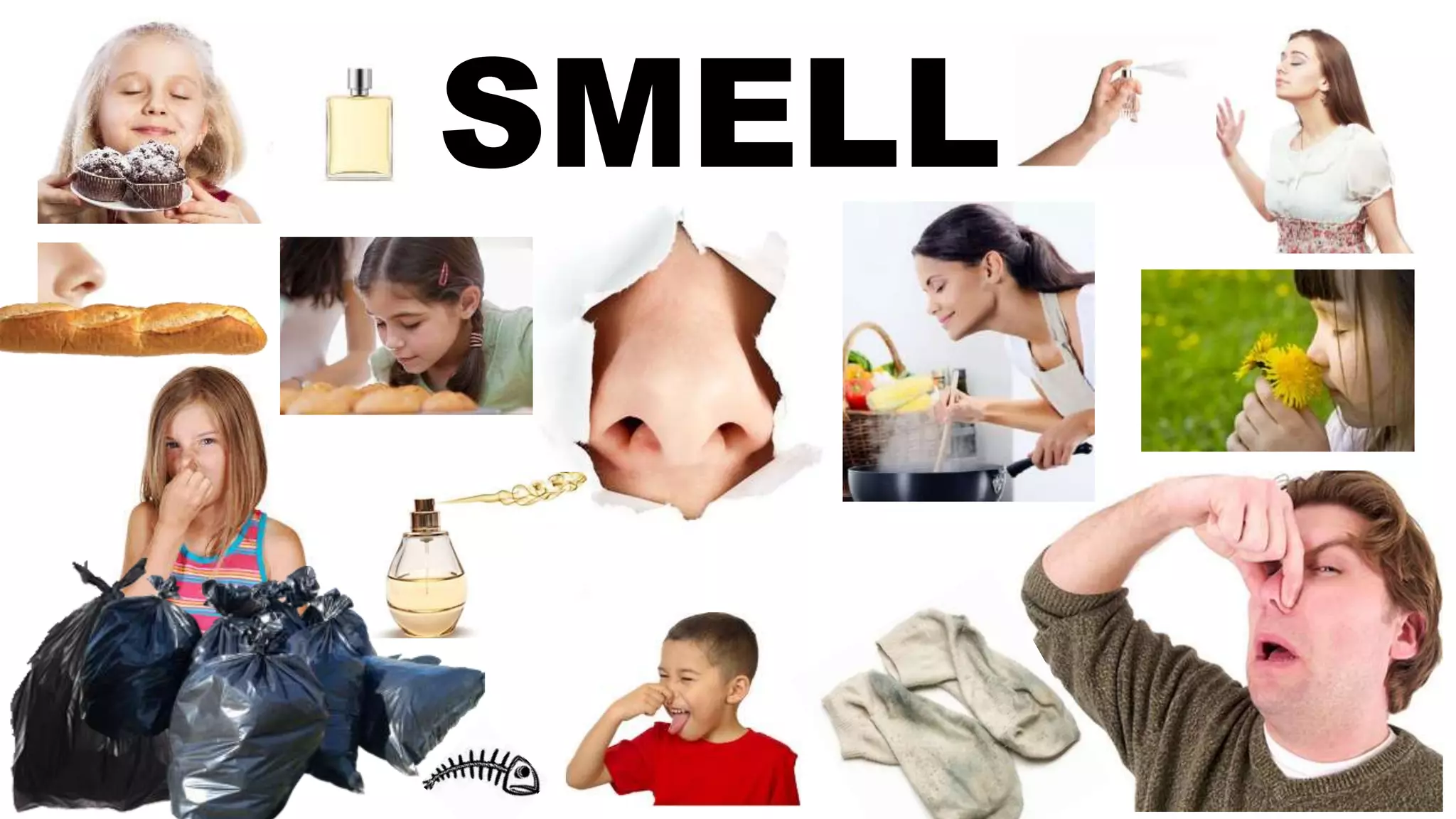 SMELL
 