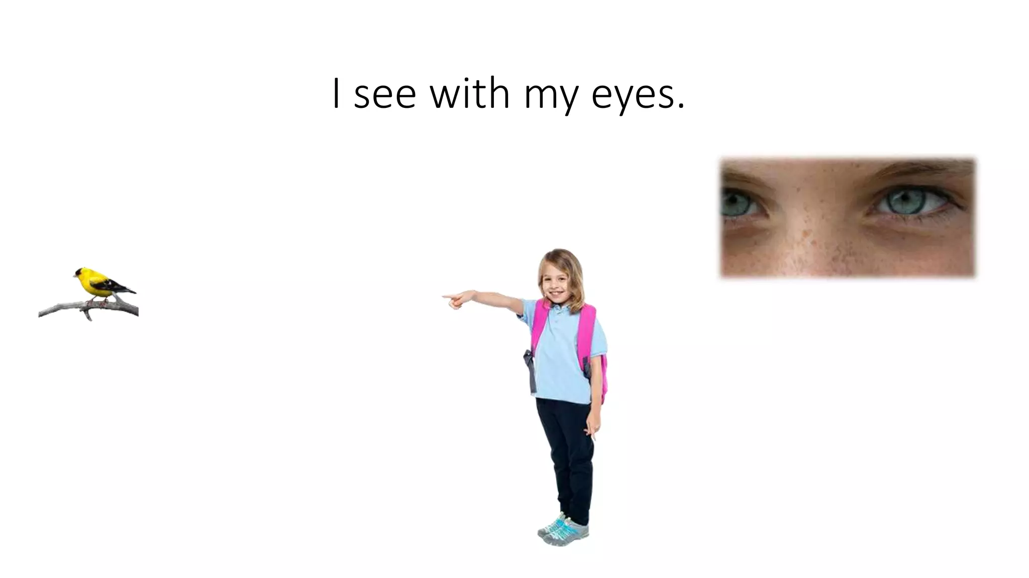 Five senses (year 1) | PPTX