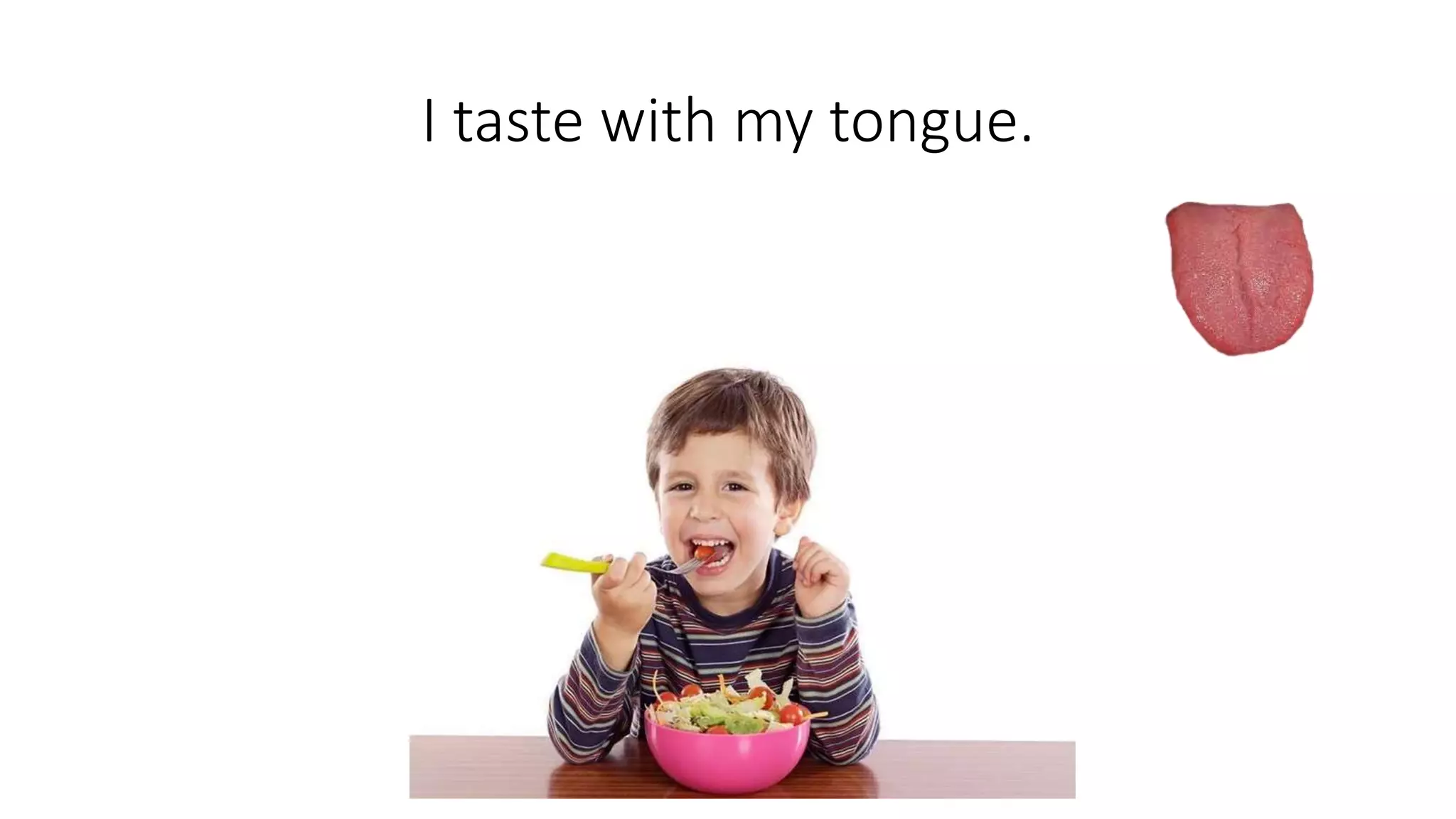 Five Senses Year 1 Pptx