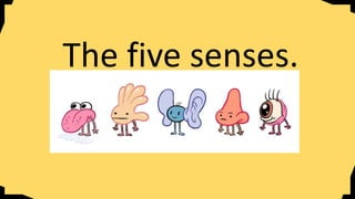 The five senses.
 