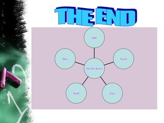 THE END Hear Smell Taste Touch Sight Our Five Senses 