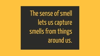 Five Senses (SMELL).pptx