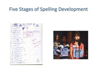 Five Stages of Spelling Development 