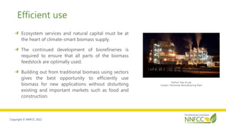 Five steps to a sustainable biobased product economy - Adrian Higson.pdf