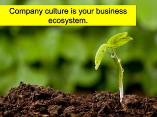 Company culture is your business ecosystem. <br />