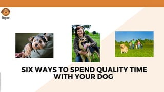 SIX WAYS TO SPEND QUALITY TIME
WITH YOUR DOG 
 