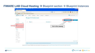 FIWARE LAB Cloud Hosting  Blueprint section  Blueprint Instances 
Go in the catalog 
 