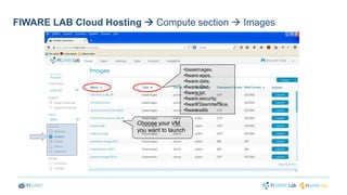FIWARE LAB Cloud Hosting  Compute section  Images 
•baseimages, 
•fiware:apps, 
•fiware:data, 
•fiware:i2nd, 
•fiware:iot, 
•fiware:security, 
•fiware:userinterface, 
•fiware:utils 
Choose your VM 
you want to launch 
 