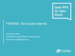 FIWARE: the future internet
Fernando López
FIWARE Cloud & Platform Senior Expert
fernando.lopez@fiware.org
 