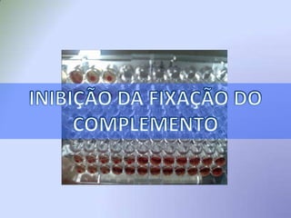  Estufa para incubação