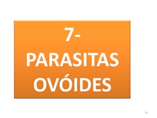 547-  PARASITAS OVÓIDES
