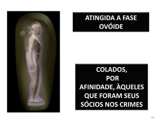 65ATINGIDA A FASE OVÓIDECOLADOS, POR AFINIDADE, ÀQUELES QUE FORAM SEUS SÓCIOS NOS CRIMES