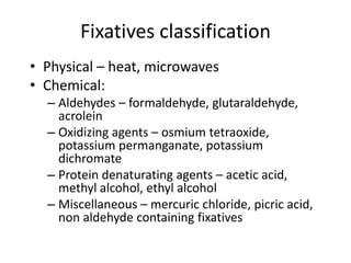 Fixation | PPTX