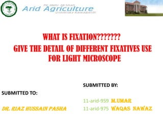 WHAT IS FIXATION???????
    GIVE THE DETAIL OF DIFFERENT FIXATIVES USE
              FOR LIGHT MICROSCOPE


                         SUBMITTED BY:
SUBMITTED TO:
                         11-arid-959 M.UMAR
Dr. RIAZ HUSSAIN PASHA   11-arid-975 Waqas nawaz
 