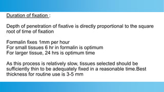 Fixation Time Label fixation and fixatives for mlt students. | PPTX